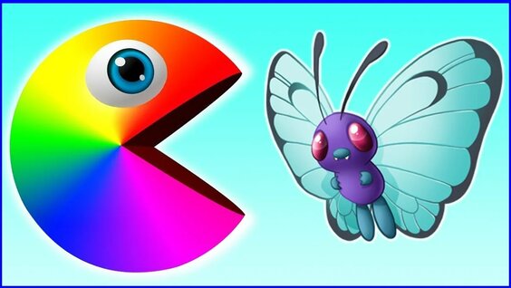 Pacman Fun To Play On The Desert Island, Eat 3d M & M Funny Fruit Surprise Toy Street