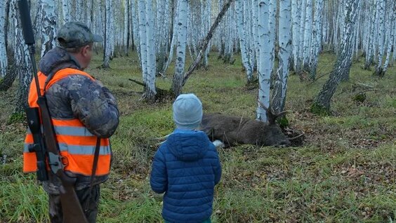 Добыли с ребенком первого ЛОСЯ. Охота с сыном на кабана — Видео от Охота в России