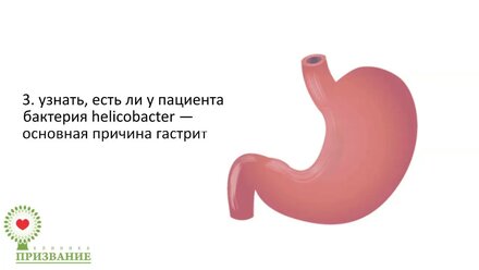 ФГДС в Самаре | клиника "Призвание"
