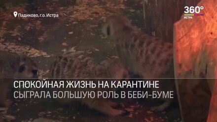 В Новостях на Телеканале 360 | Кинолог - Фигурант - Зоопсихолог Эдуард Дымченко