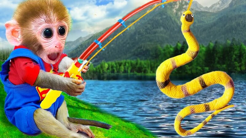 Monkey baby Bi Bon fishing snake in the swimming pool | Funny Monkey ...