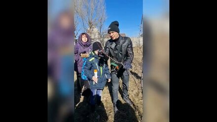 обрезка плодовых. как правильно сформировать скелет дерева
