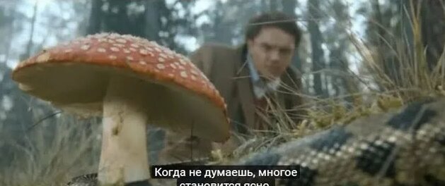 Чай из мухоморов - трип-фрагмент из фильма Поколение П (Пелевин ...