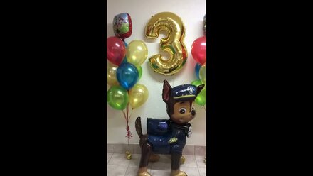 Воздушные Шары Щенячий патруль