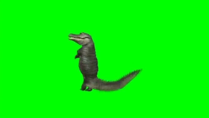Dancing Crocodile Green Screen - Challista Lasama Tiktok Sound Viral ...