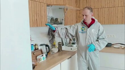 Тараканы в доме и квартире? 🐜 Причины появления и уничтожение