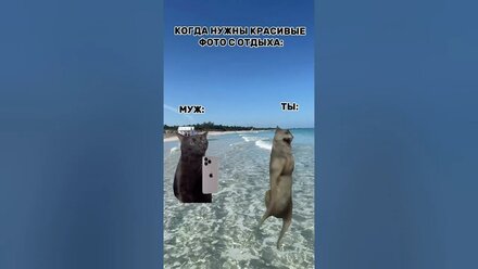 #отпуск #контентмейкер #контентфотограф #фотограф #видеоконтент #шуткидня
