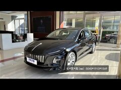 2022 FAW Hongqi E-QM5 EV - Exterior And Interior