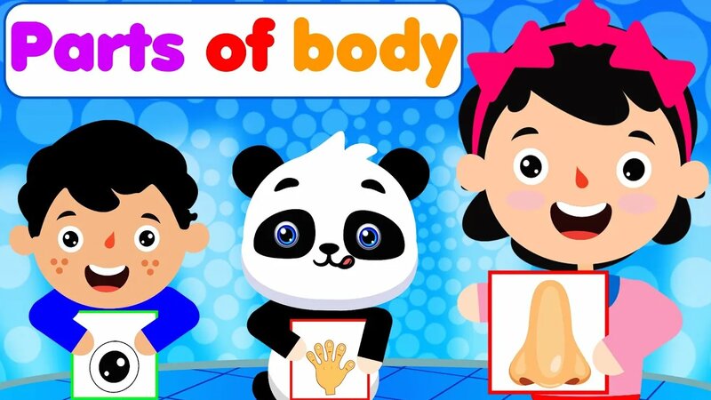 Parts of the body song - The Soft Roots Nursery Rhymes & Kids Songs ...