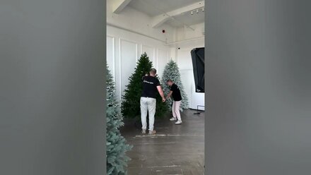 Ваши любимые бэкстейджи 🙈❤️ #youtubeshorts #елка #christmastree #shortsclip #style #youtube #декор