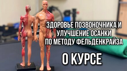 О новом онлайн-курсе по методу Фельденкрайза