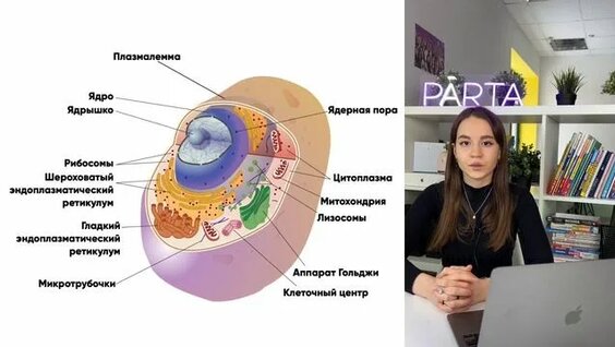 Орыс тілінде зорлық-зомбылық көрсететін секс комикстері