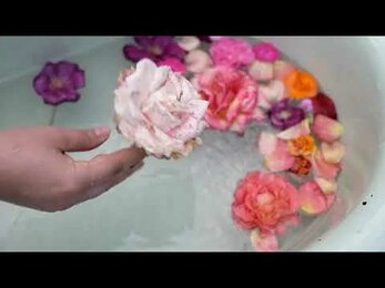 Цветы. Ванная комната.