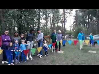 #Мастеркласс#тольятти#лайк#дрессировка#подписка