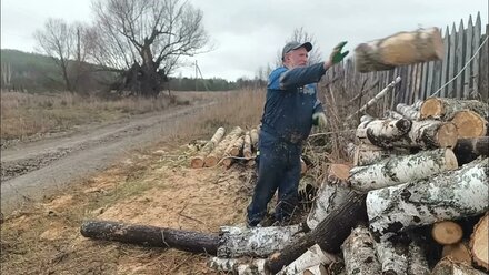 Выходной день в деревне. Пилю дрова электропилой ЧЕМПИОН.