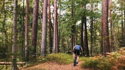 Hotline in forest | MTB
