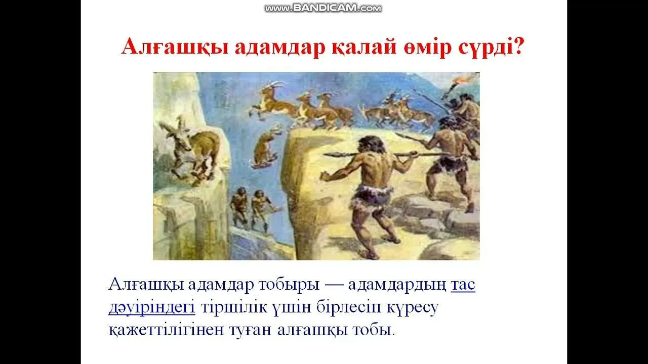 Жалаңаш балапандар жекеменшік