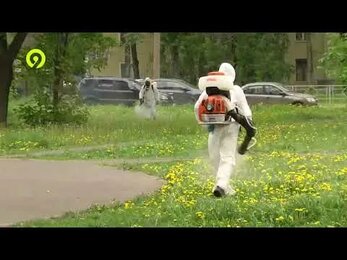 Акарицидная обработка от Главдезцентра | Репортаж в передаче «Давеча» на Девятка ТВ, город Киров
