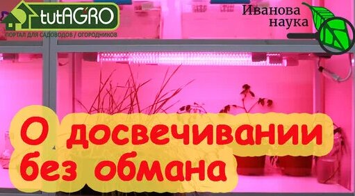 И БАБУШКАМ БУДЕТ ПОНЯТНО! Почему я выбрал ФИТОЛАМПУ для подсветки рассады_ Простое правило 100 Ватт….