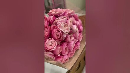 Бомбические пионы и кустовые розы #кошка #цветы #цветыоткошки