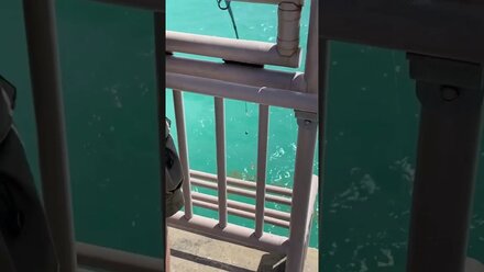 Pompano fishing in the ocean