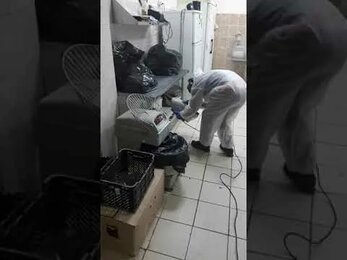 Уничтожение тараканов в городе Череповец