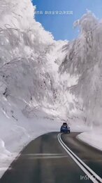 Красота