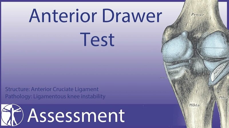 Anterior Drawer Test | Anterior Cruciate Ligament - Смотреть онлайн в ...