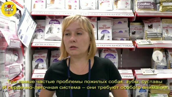 Как кормить пожилую собаку — Видео от Лучший корм для кошек & Лучший корм …