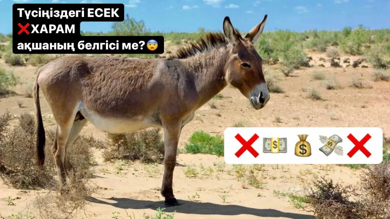 Нижний Новгородтағы секс такси