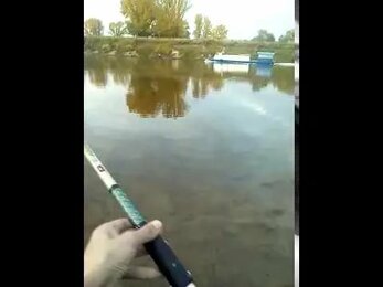 рыбалка \ fishing in the city of Tyumen
