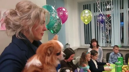 Театр Маленьких Собачек. 20 дек 2017 года Детский праздник ЙОРК-ШОУ
