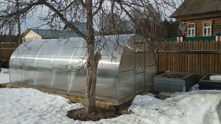 Теплица "Дачная Трёшка" через год