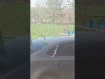 Акарицидная обработка.