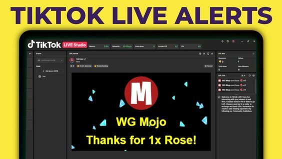 Complete TikFinity Setup - 2025 TikTok LIVE Alerts (Gifts, Follows ...