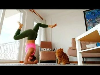 Ширшасана с котом
