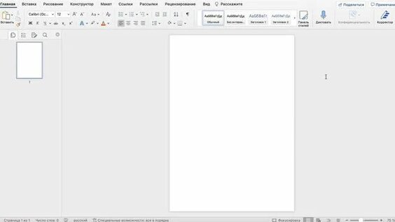 Пизканы шәуетпен толтырды