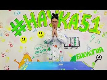 Когда быстрее устаешь? Эксперимент №26