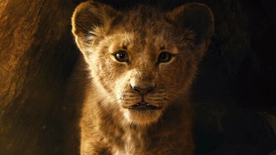 Менің әйелім қоян құлақтарының секс позициясын ұнатады.