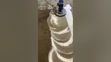 Чистка шегги
