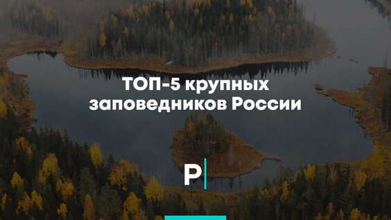 ТОП-5 крупных заповедников России — Видео от PostNews