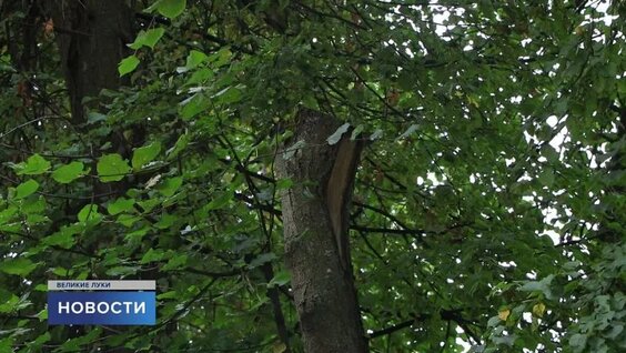 Парки и скверы – это украшение любого города. — Видео от Первый Псковский