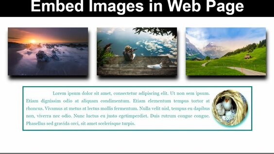 How to Insert Images in Web Page Using HTML and CSS| Create Rounded ...