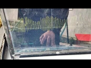 Новогодний выпуск. Хитрый заяц и Форд фокус не заводится.