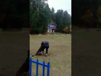 Змейка. Сентябрь 2022 г.