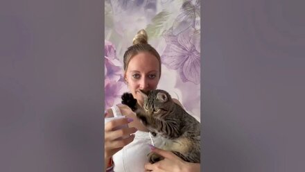 Умеет ли котик читать на английском?