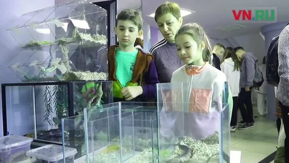 Более 30 интерактивных локаций представили ученые на выставке «Наука 0+» в Новосибирске ...