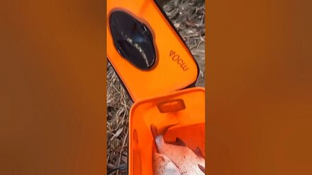 Закрытие сезона жидкой воды