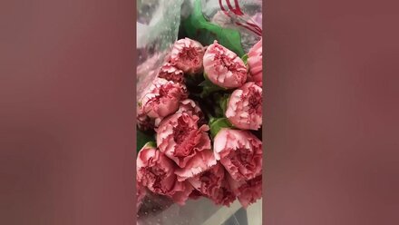 Заказать букет WA:+79152295939 #кошка #букетыназаказ