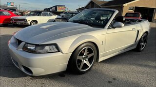 Test Drive 2004 Ford Mustang Cobra Convertible "Terminator" 6 Speed SOLD $25,900 Maple Motors #2917